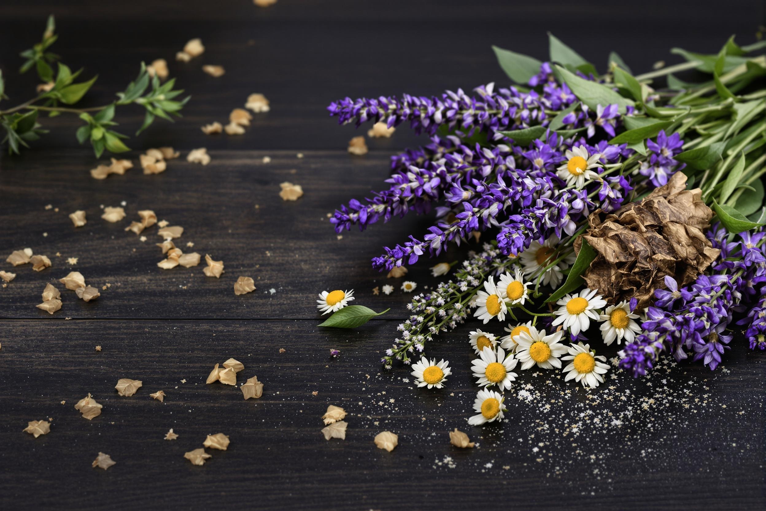 Plantes médicinales pour l'insomnie